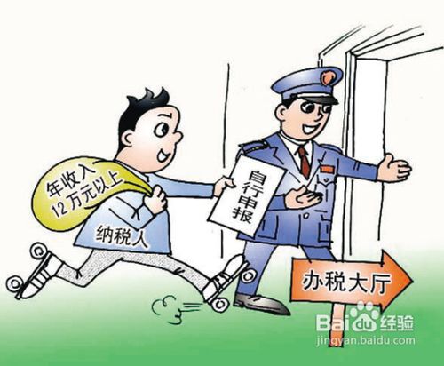 一般纳税人报税流程